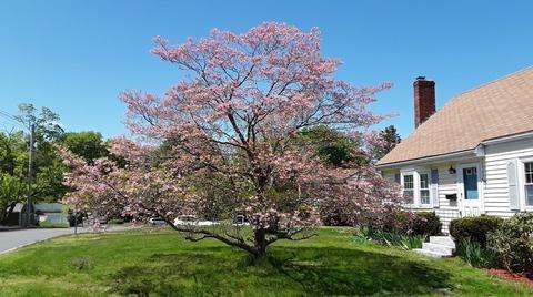 8 Newbridge St, Hingham, MA 02043 photo 2