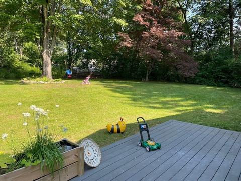 348 Plain St, Millis, MA 02054 photo 37