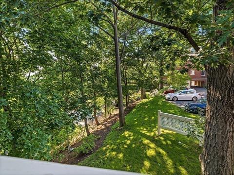 216 Summit Ave #C2, Brookline, MA 02446 photo 4