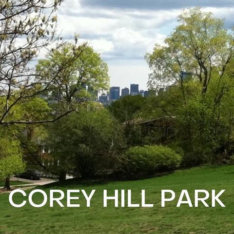 216 Summit Ave #C2, Brookline, MA 02446 photo 35