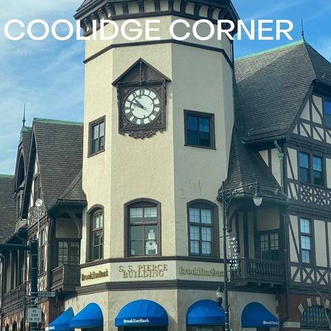 216 Summit Ave #C2, Brookline, MA 02446 photo 39