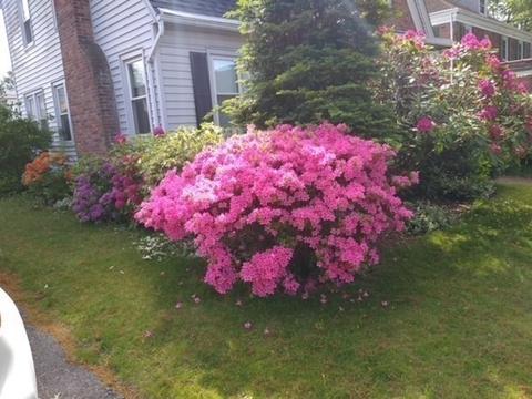 63 Eckington St, Springfield, MA 01108 photo 5