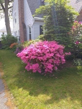 63 Eckington St, Springfield, MA 01108 photo 6