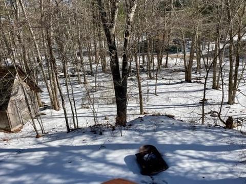 234 York St, Canton, MA 02021 photo 7