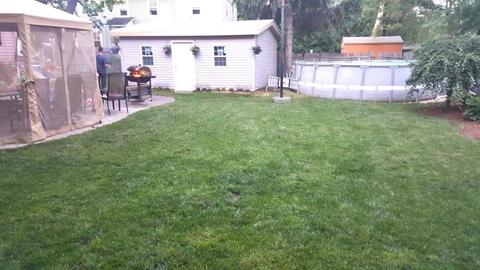 19 Paris St, Everett, MA 02149 photo 9