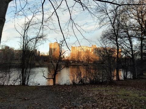 77 Pond Ave #706, Brookline, MA 02445 photo 23