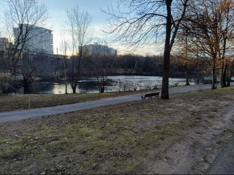 77 Pond Ave #706, Brookline, MA 02445 photo 20