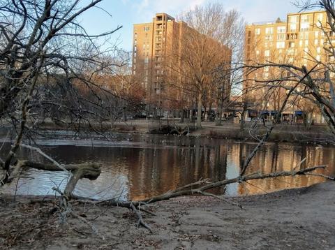 77 Pond Ave #706, Brookline, MA 02445 photo 21