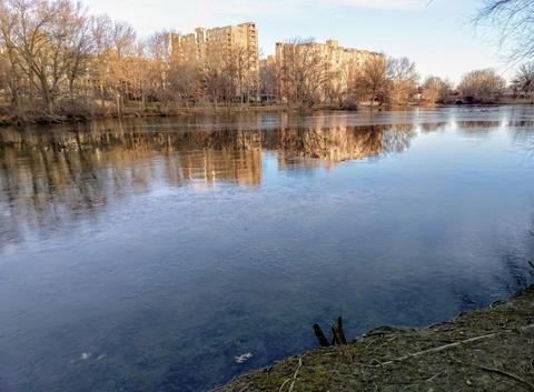 77 Pond Ave #706, Brookline, MA 02445 photo 19