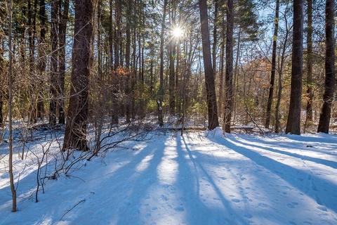 9 Shawkemo Path, Franklin, MA 02038 photo 26