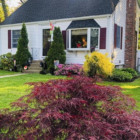 35 Circle Dr, Framingham, MA 01702 photo 24