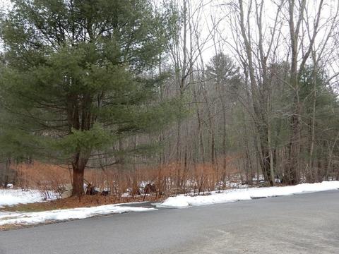 8 Cornfield Rd, Spencer, MA 01562 photo 11