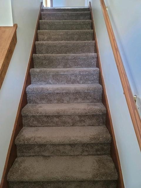 19 Wallace St, Springfield, MA 01119 photo 5