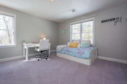 5 Nelson Ct, Mendon, MA 01756 photo 28