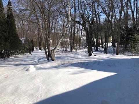 85 Marla Ln, Reading, MA 01867 photo 29