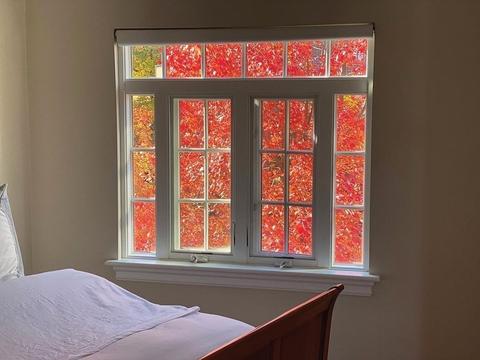 25 Royal Rd, Brookline, MA 02445 photo 10