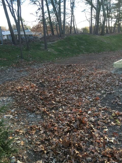 14 Talbot Rd, Canton, MA 02021 photo 11