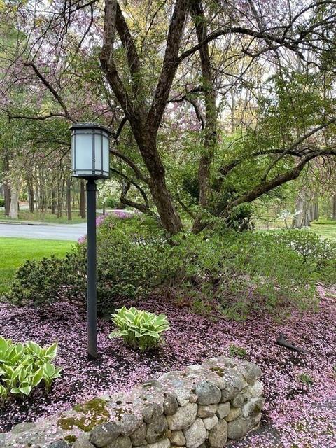65 Richardson Dr, Needham, MA 02492 photo 35
