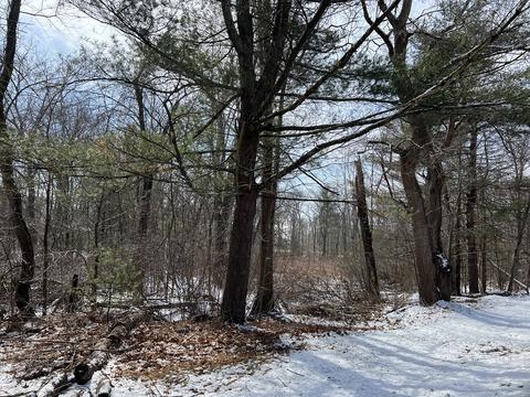 335 Maynard Rd, Wilbraham, MA 01095 photo 2