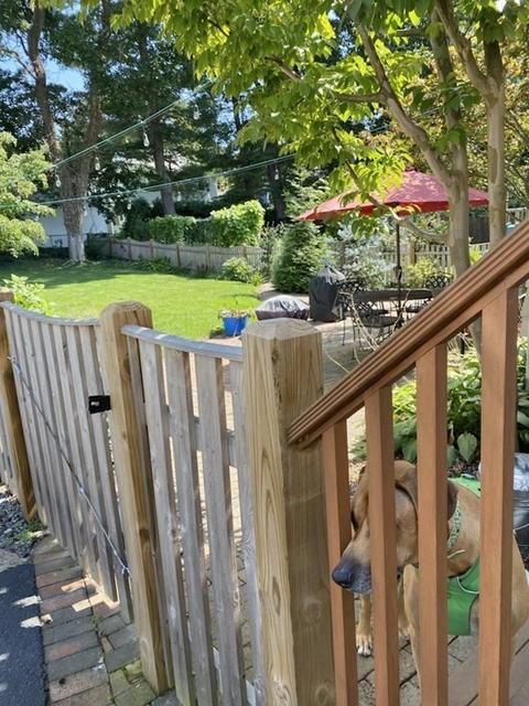 67 Washington Ave, Needham, MA 02492 photo 32