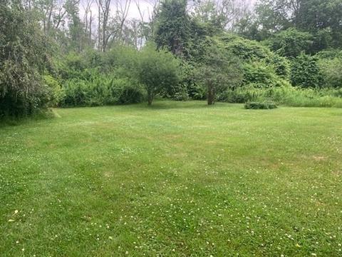 64 Cartwright Rd, Wellesley, MA 02482 photo 35