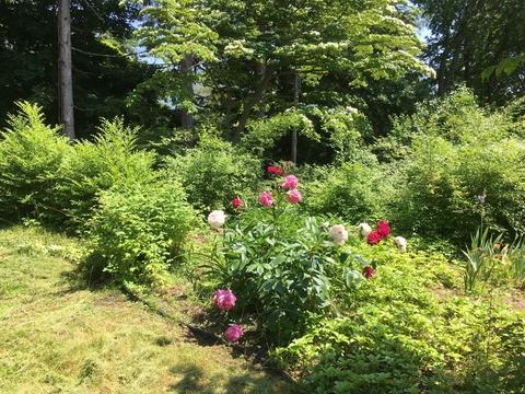 83 Langsford St, Gloucester, MA 01930 photo 26