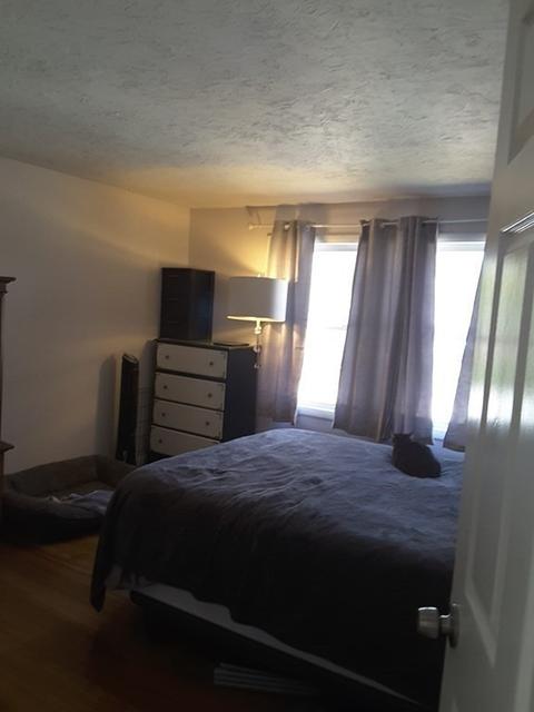17 Dixfield St, Worcester, MA 01606 photo 14