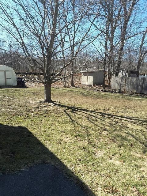 17 Dixfield St, Worcester, MA 01606 photo 5