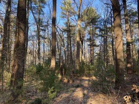 9 Andrews Ct, Gloucester, MA 01930 photo 5