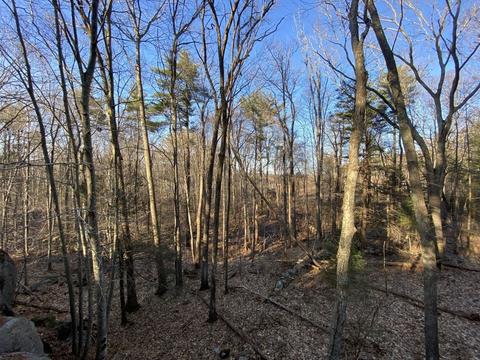 9 Andrews Ct, Gloucester, MA 01930 photo 2