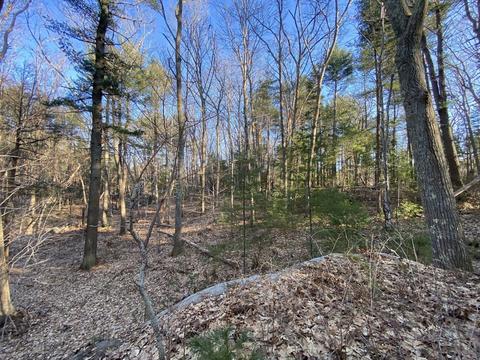 9 Andrews Ct, Gloucester, MA 01930 photo 7