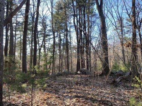 9 Andrews Ct, Gloucester, MA 01930 photo 3