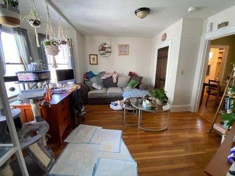 16 Reed Ave, Everett, MA 02149 photo 9