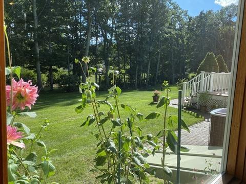 7 Shine Ave, Dudley, MA 01571 photo 26