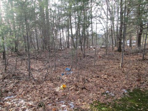 586 Common St, Walpole, MA 02081 photo 2