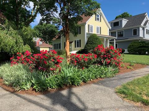 41 Pleasant St, Needham, MA 02492 photo 29