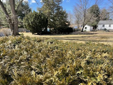 94 Pineview Dr, Springfield, MA 01119 photo 20