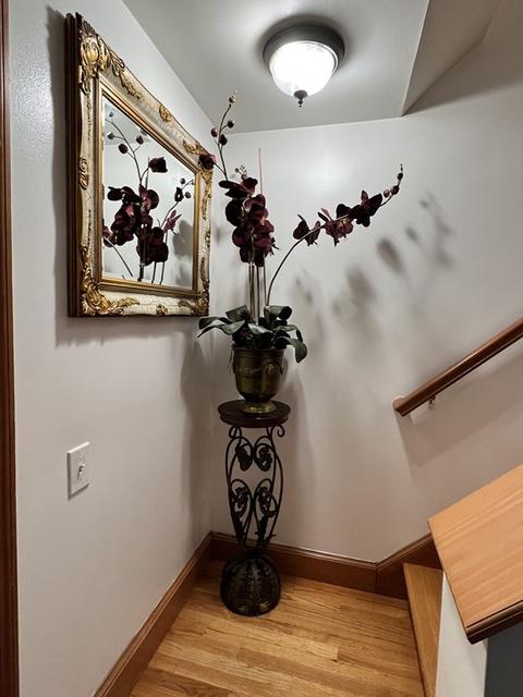 8 Rena, Worcester, MA 01604 photo 7