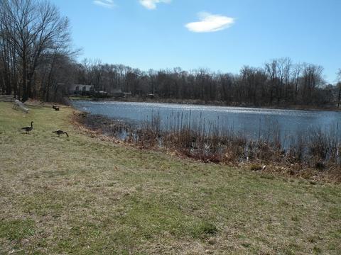 9 Old Shepard St, Canton, MA 02021 photo 42