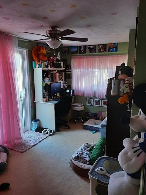49 Simpson Dr, Framingham, MA 01701 photo 9