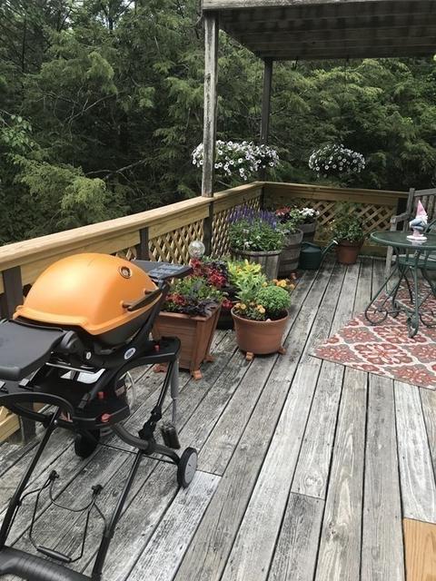246 Old Belchertown Rd, Ware, MA 01082 photo 34
