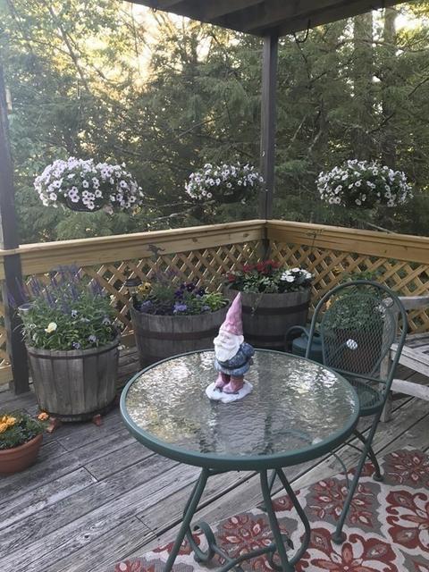246 Old Belchertown Rd, Ware, MA 01082 photo 35