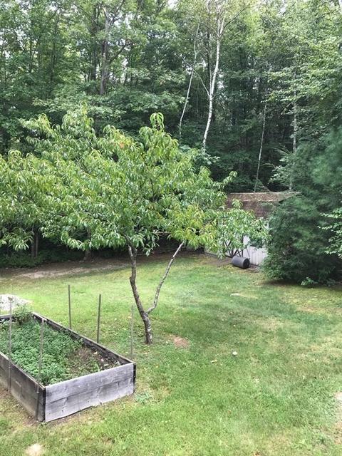 246 Old Belchertown Rd, Ware, MA 01082 photo 37