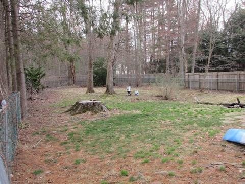 63 Senator St, Springfield, MA 01129 photo 18