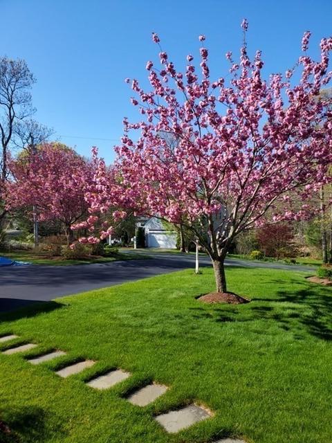 235 Conners Rd, Barnstable, MA 02632 photo 4