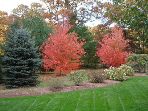 235 Conners Rd, Barnstable, MA 02632 photo 5