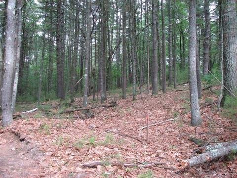58 Buffam Rd, Pelham, MA 01002 photo 3