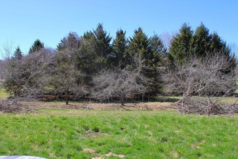 32 Hemlock St, Douglas, MA 01516 photo 35