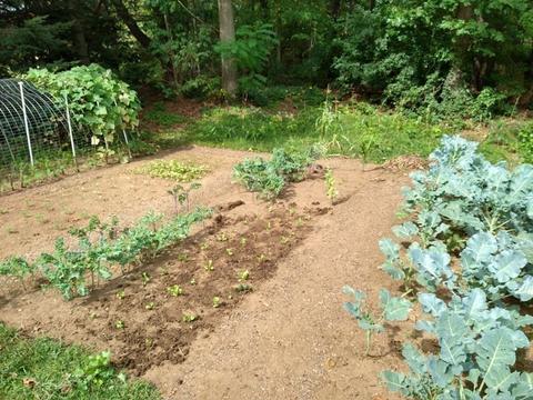 412 E Mountain Rd, Westfield, MA 01085 photo 19