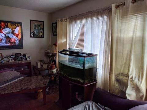 326 Goodwin St, Springfield, MA 01151 photo 13
